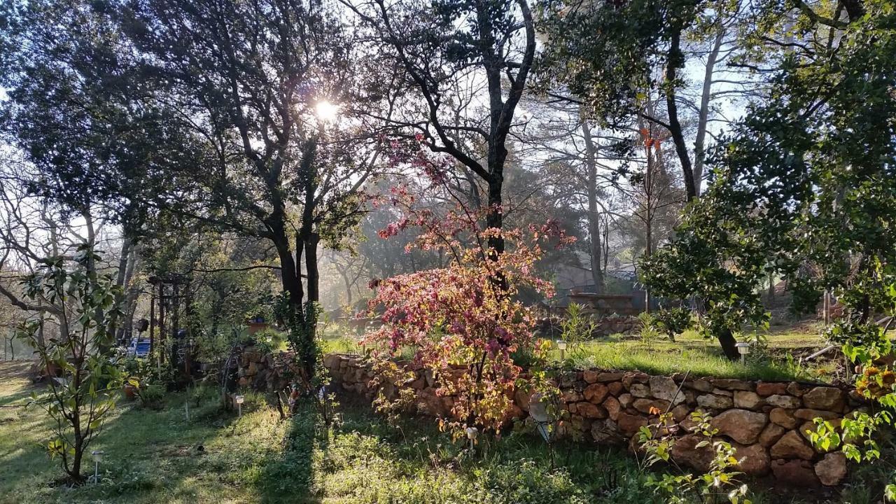 Villa Mylena Jouques Екстер'єр фото